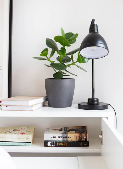 Black desk lamp and potted plant on a shelf with books