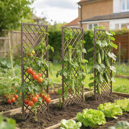 Outsunny Garden Arch, Garden Arbor with 8mm Wicker and Flat Top, Natural Wood Finish