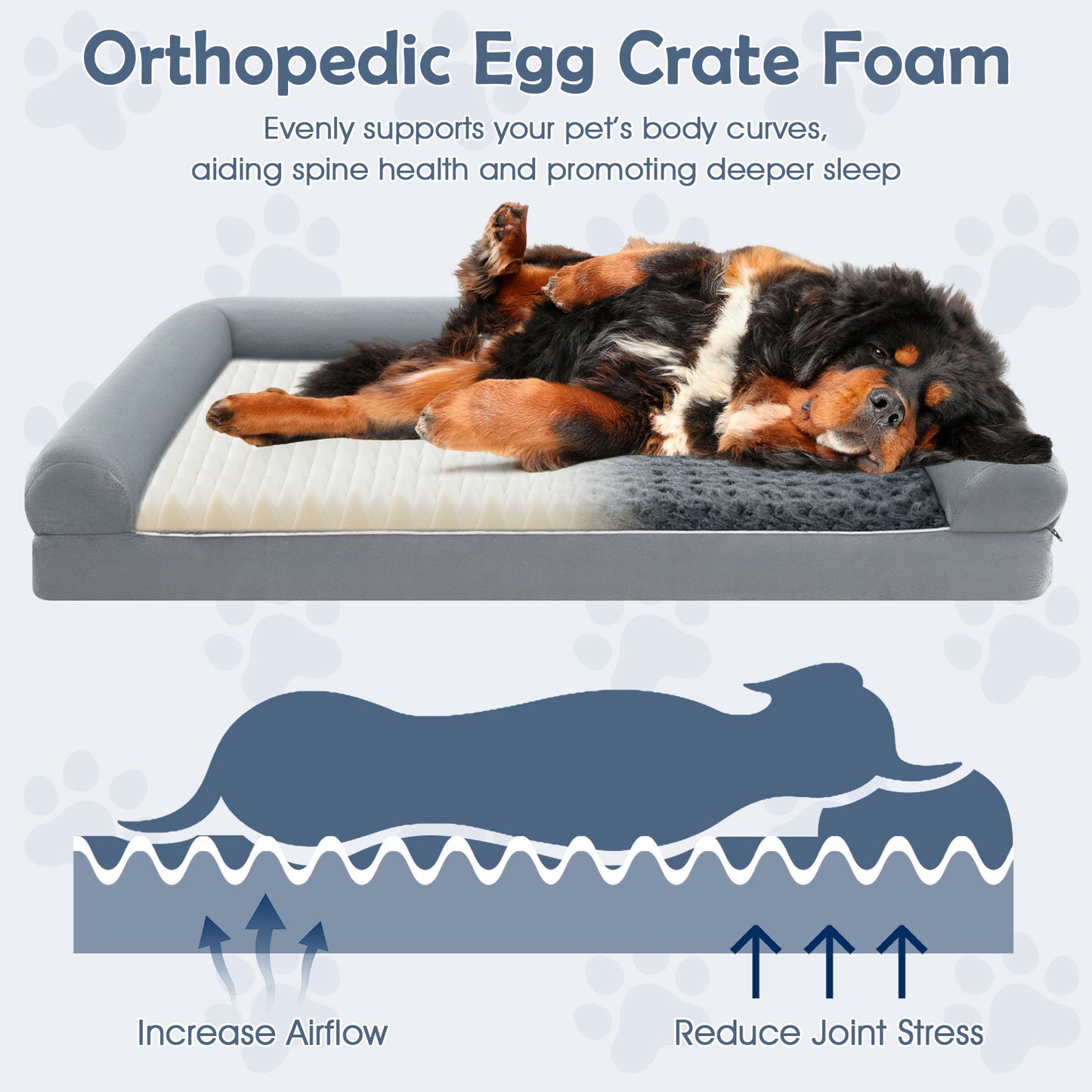 Orthopedic Foam Dog Bed L Sized Large Pet Bed-XXL
