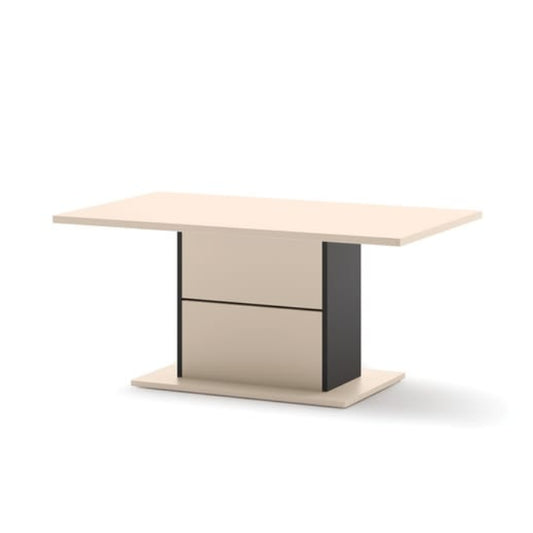 Zaya ZY-22 Coffee Table 110cm