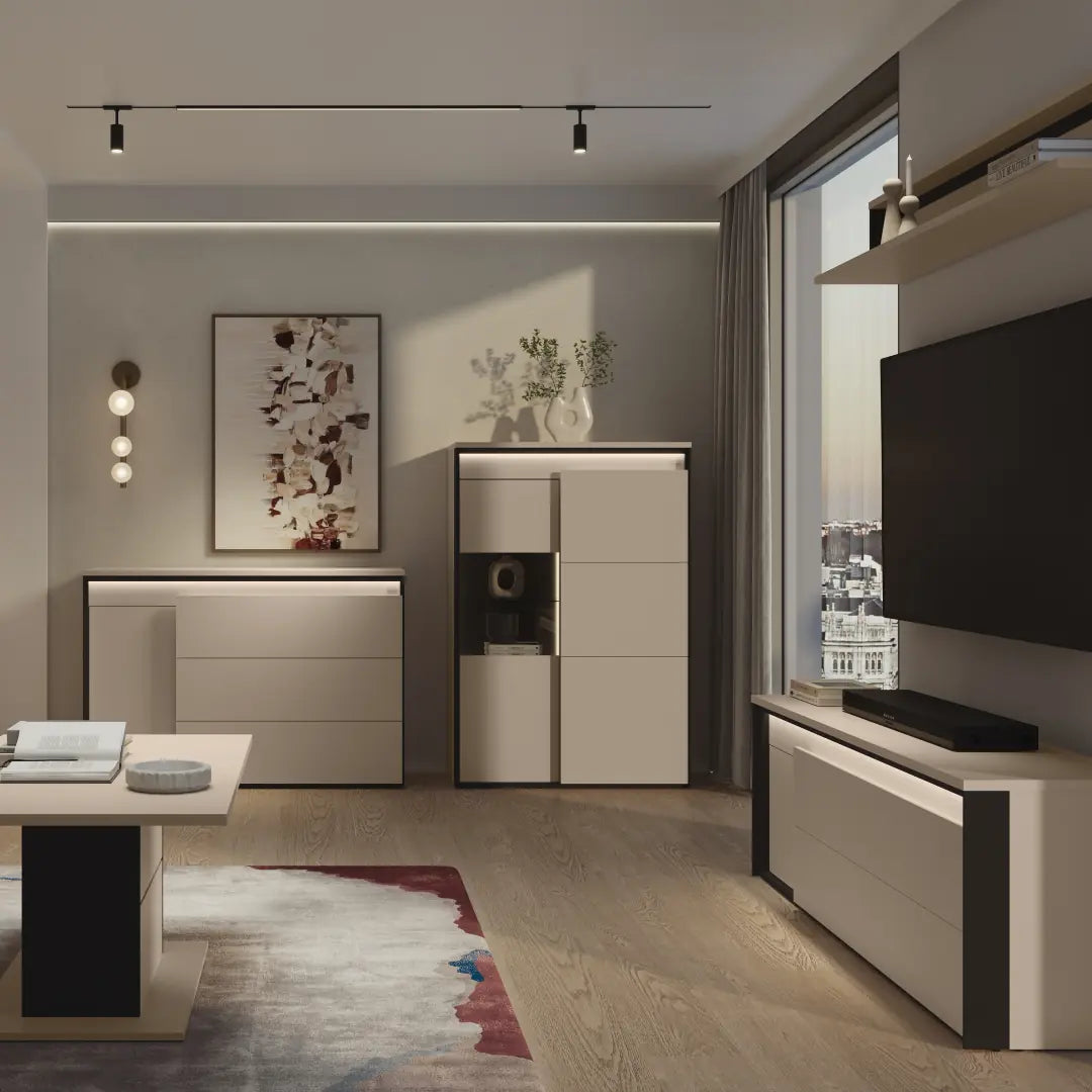 Modern living room with furniture and decor