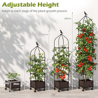 Raised Garden Bed Planter Box with Obelisk Trellis 200 cm-Black