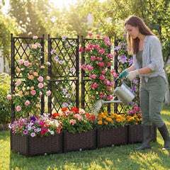 Raised Garden Bed with Trellis Self-Watering Elevated Planter Box with Drain Holes-Set of 2