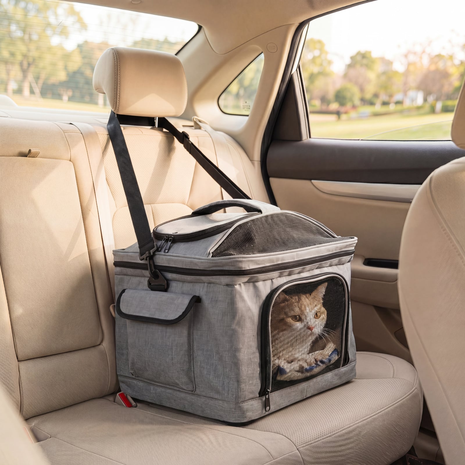 Rolling Pet Carrier with Telescopic Handle and Washable Pad Foldable
