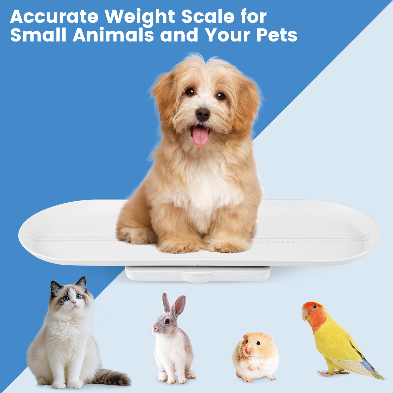 Smart Baby Scale with Detachable Tray for Body Weight and Height Measurement-White