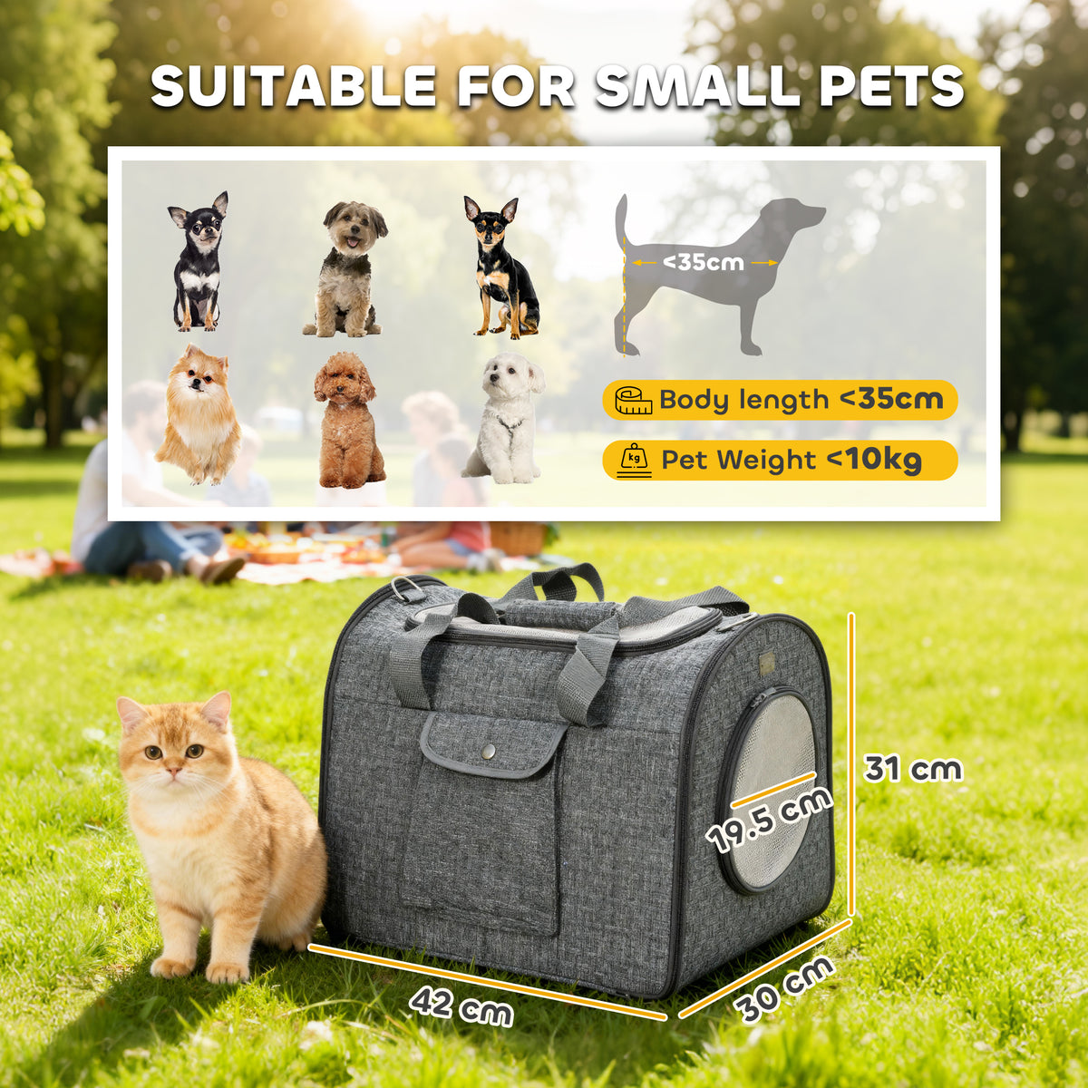 PawHut Soft Sided Cat Carrier Bag, Portable Foldable Pet Carrier with Shoulder Strap & Removable Mat for Small Pet Up to 10kg