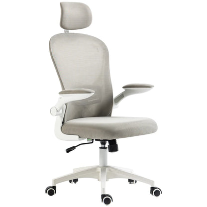 Vinsetto Multi-Adjustable Office Chair, with Lumbar Support, Headrest and Mesh Back - Grey