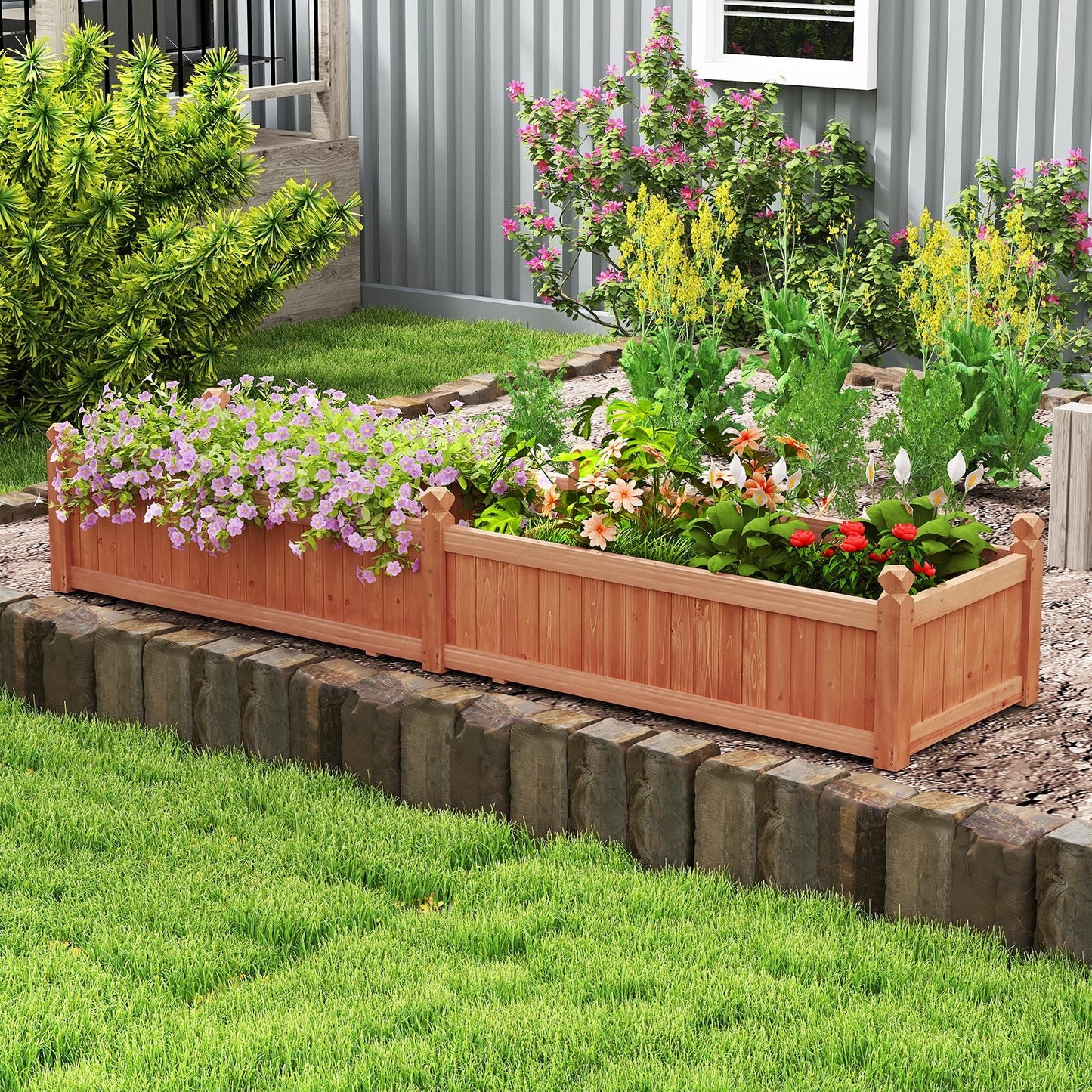 Wood Raised Garden Bed with Divider and Drainage System-Rustic Brown