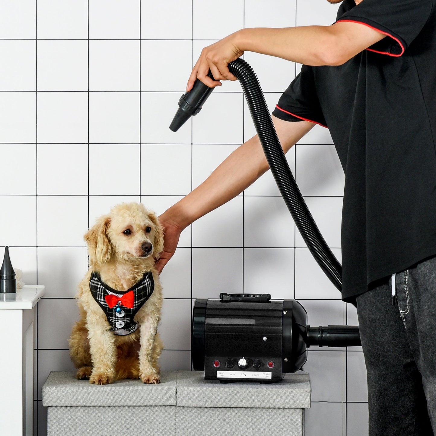 PawHut Dog Hair Dryer Pet Grooming Blaster Dryer Blower Adjustable Temperature Speed with 2.1M Flexible Hose 3 Nozzles - Black