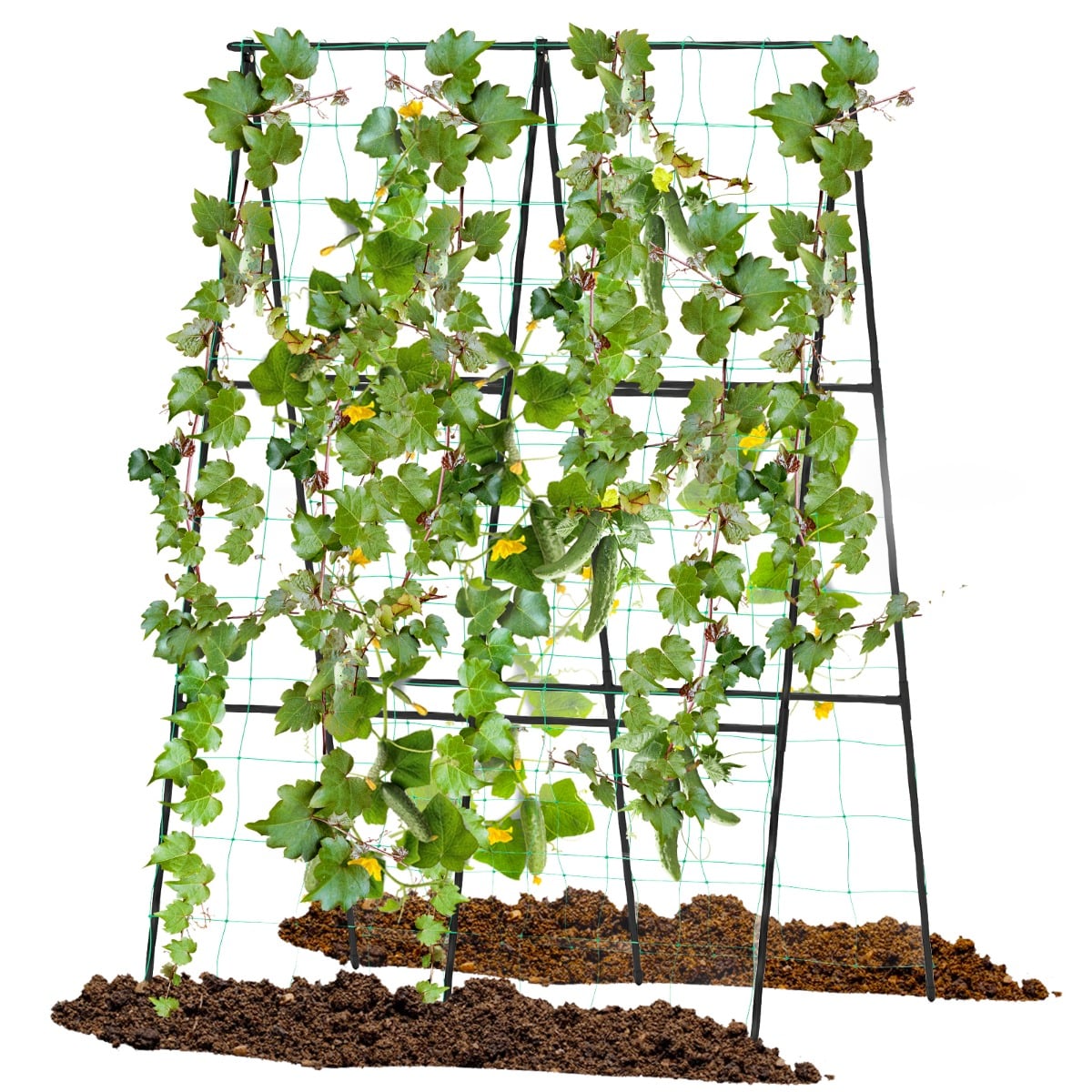 A-Frame Outdoor Trellis for Climbing Plants Garden Trellis