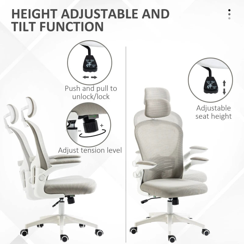 Vinsetto Multi-Adjustable Office Chair, with Lumbar Support, Headrest and Mesh Back - Grey