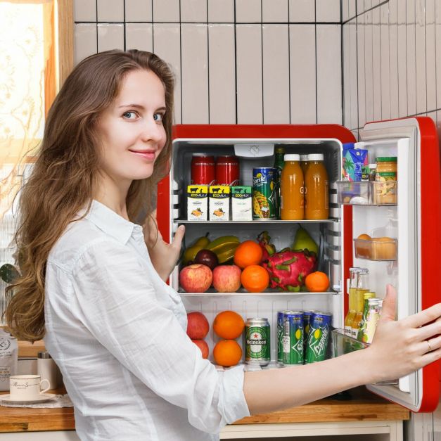 68L Compact Refrigerator with LED Light and Adjustable Thermostat-Red