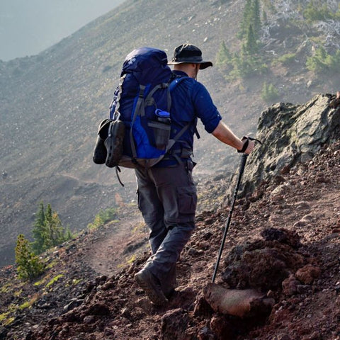 Hiking Pole Aluminum Trekking Pole Walking Pole Adjustable 65-135 cm-Black