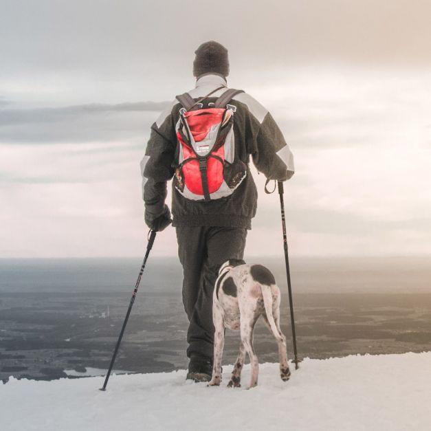 Hiking Pole Aluminum Trekking Pole Walking Pole Adjustable 65-135 cm-Black