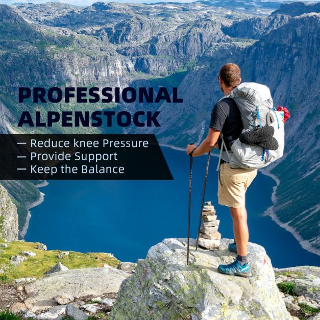 Hiking Pole Aluminum Trekking Pole Walking Pole Adjustable 65-135 cm-Black