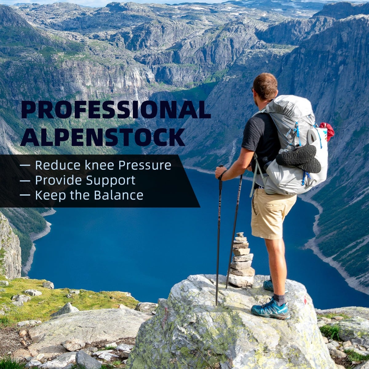 Hiking Pole Aluminum Trekking Pole Walking Pole Adjustable 65-135 cm-Black