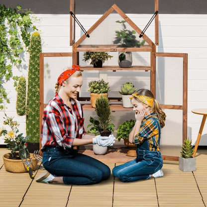 Cold Frame Mini Wooden Greenhouse with Transparent Openable Roof