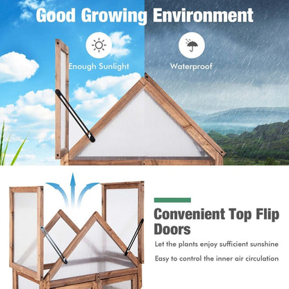 Cold Frame Mini Wooden Greenhouse with Transparent Openable Roof