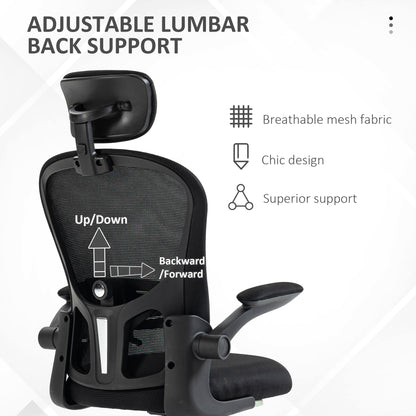 Vinsetto Multi-Adjustable Office Chair, with Lumbar Support, Headrest and Mesh Back - Black