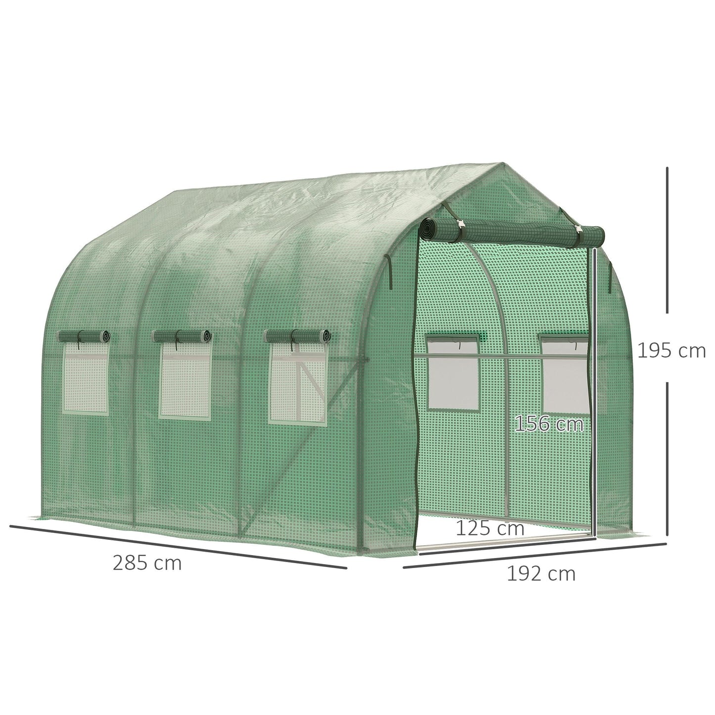 Walk in Polytunnel Greenhouse with Windows and Door for Garden, Backyard (3 x 2M)