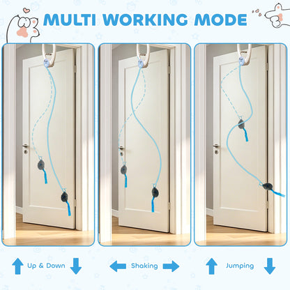 PawHut Interactive Cat Toys for Indoor Kittens & Adult USB Rechargeable Door Hanging Bouncing Mouse Teaser