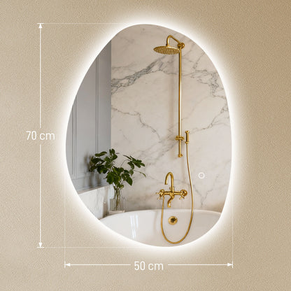 HOMCOM 70x50cm Bathroom Mirror with LED Lights, 3 Colours Dimmable, Anti-Fog, Memory & Touch Switch, IP44