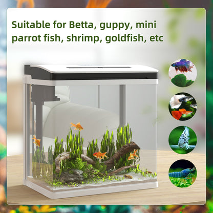 PawHut 13L Glass Aquarium Fish Tank with Filter, LED Lighting, for Betta, Guppy, Mini Parrot Fish, Shrimp, 29 x 20 x 30.5cm