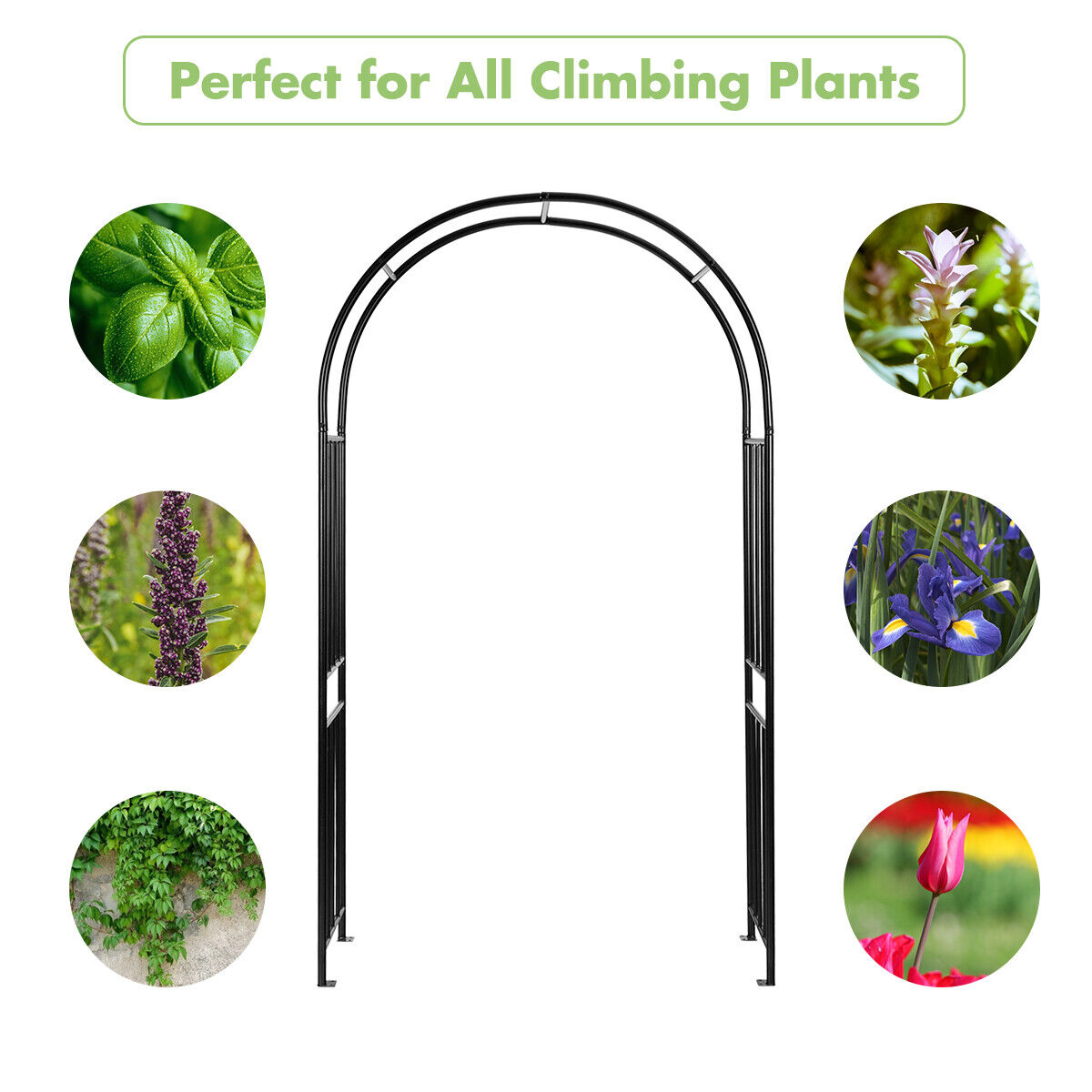 Garden Arch with Metal Frame for Rose Vines Climbing Plant