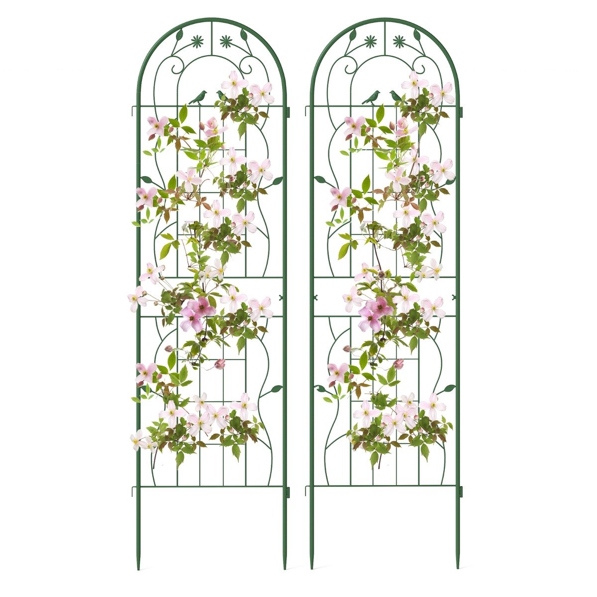 2/4 Pack Metal Garden Trellis for Climbing Plants-Set of 2