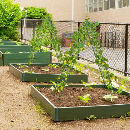 2/4 Pack Metal Garden Trellis for Climbing Plants-Set of 2