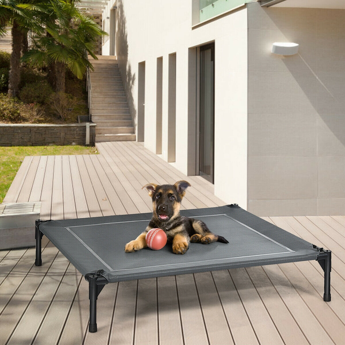 Elevated Pet Cot with Detachable Canopy Shade & Sturdy Steel Frame-L