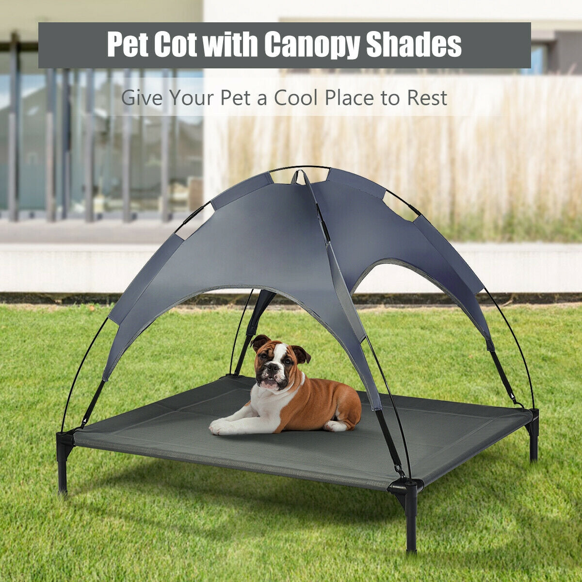 Elevated Pet Cot with Detachable Canopy Shade & Sturdy Steel Frame-XL