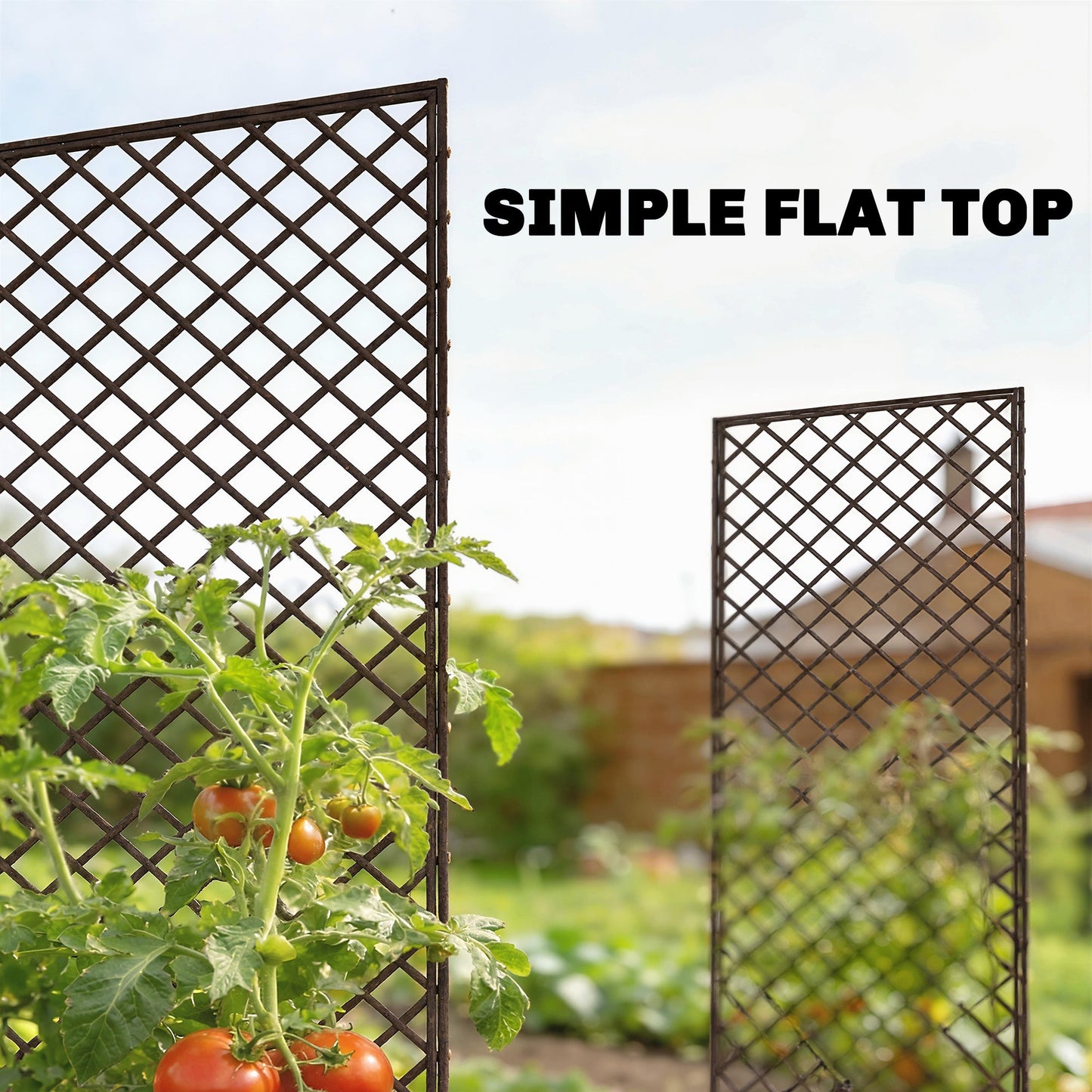 Outsunny Garden Arch, Garden Arbor with 8mm Wicker and Flat Top, Natural Wood Finish