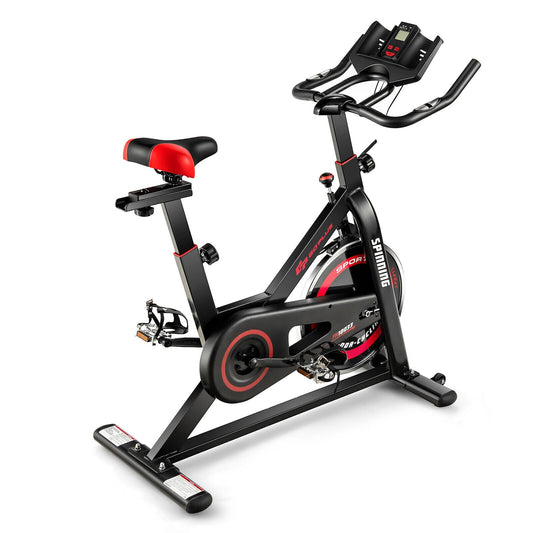 Indoor Stationary Exercise Bike with LCD Monitor