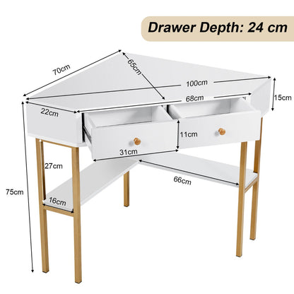 Triangular Corner Computer Desk with 2 Drawers and Storage Shelves