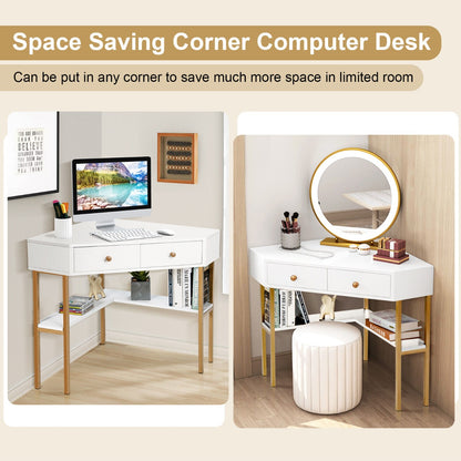 Triangular Corner Computer Desk with 2 Drawers and Storage Shelves